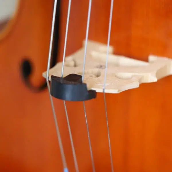 https://www.guillaume-kessler.fr/wp-content/uploads/2022/04/sourdine-Tourte-violoncelle-3.jpg.webp